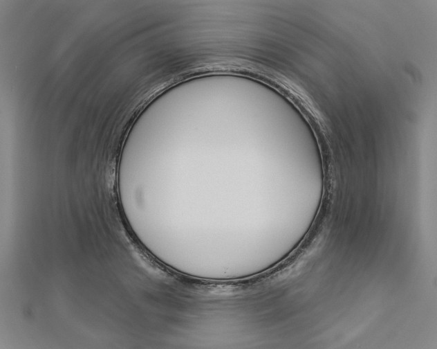 X0000112980841200908270917