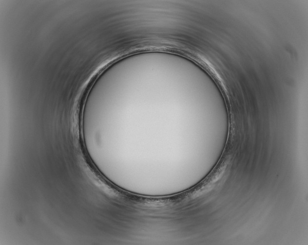 X0000112980843200908270917