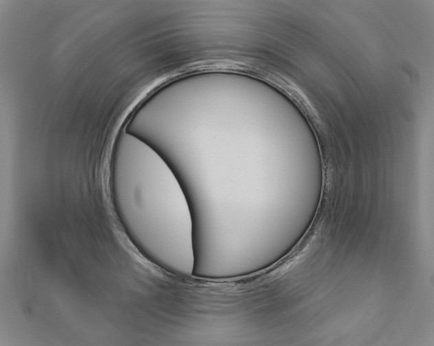 X0000112980844200908270917