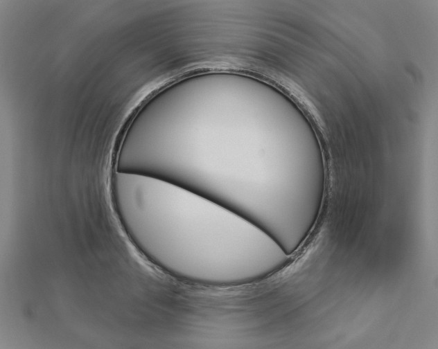 X0000112980845200908270917