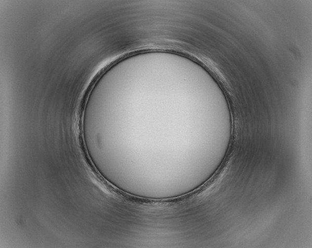 X0000112980846200908270917