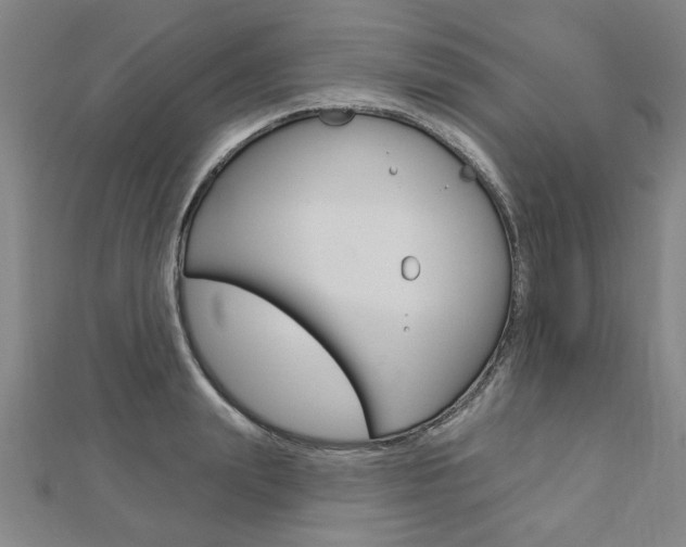 X0000112980847200908270917