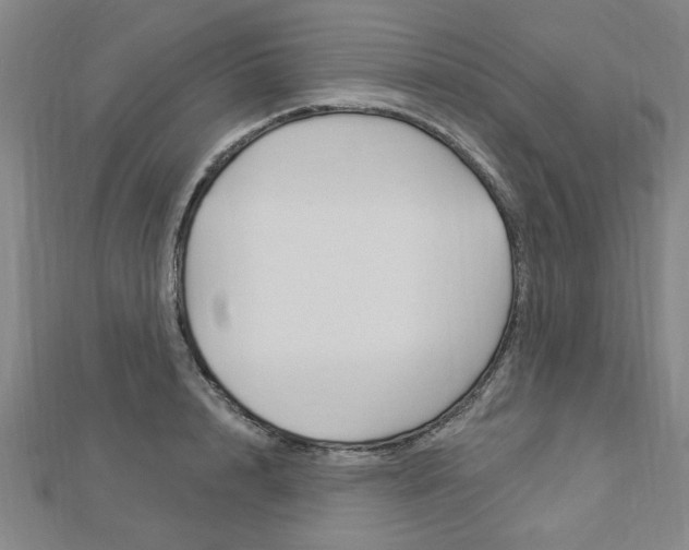 X0000112980848200908270917