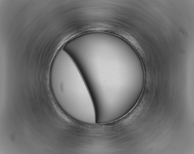 X0000112980850200908270917