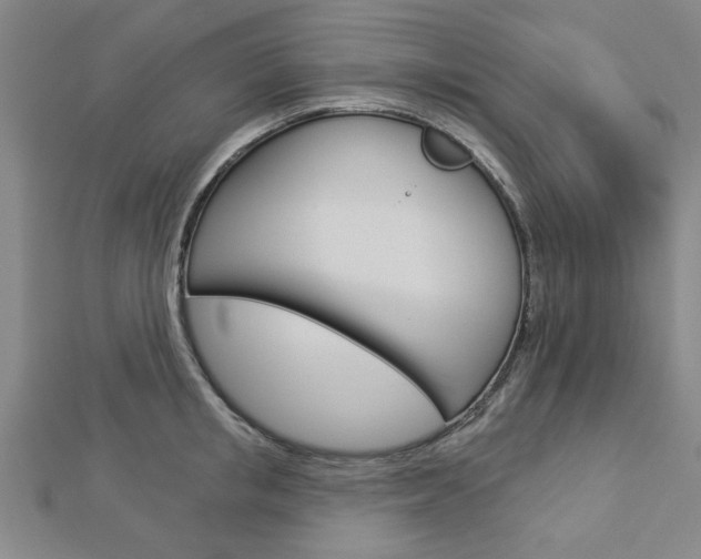 X0000112980853200908270917