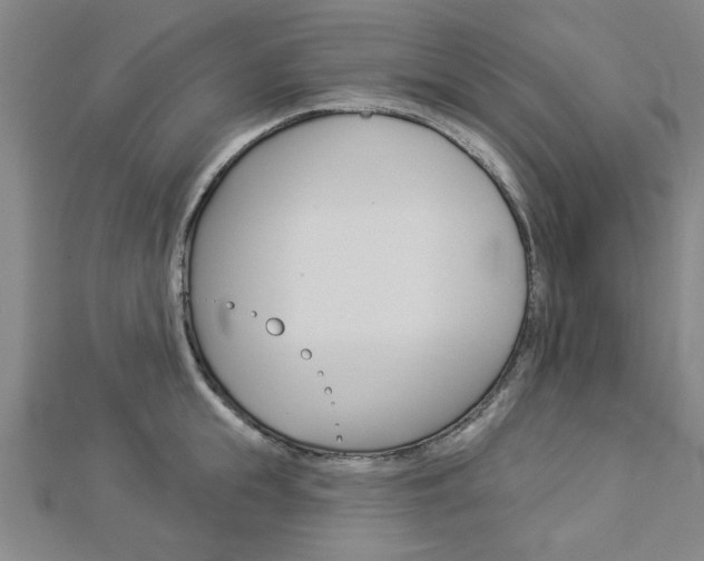X0000112980855200908270917