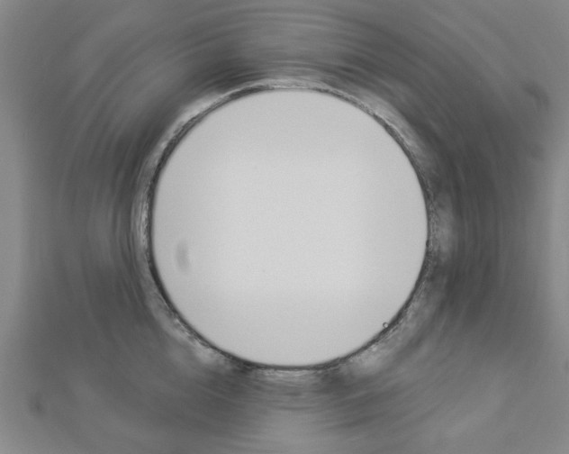 X0000112980856200908270917