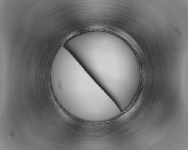 X0000112980857200908270917