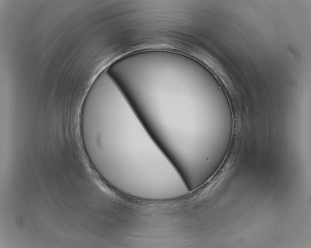 X0000112980858200908270917