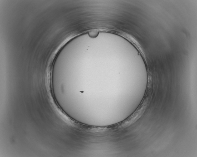 X0000112980859200908270917
