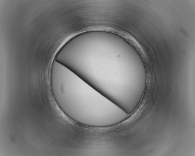 X0000112980860200908270917