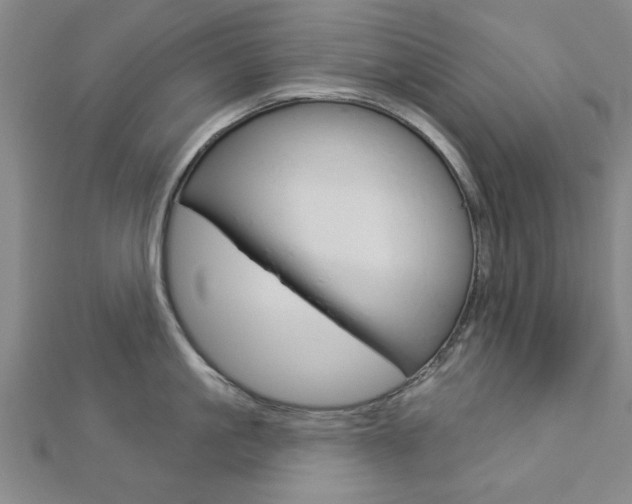 X0000112980861200908270917
