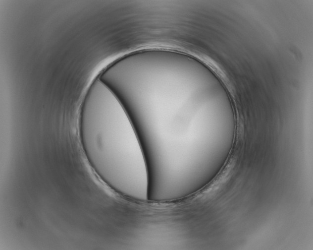 X0000112980862200908270917