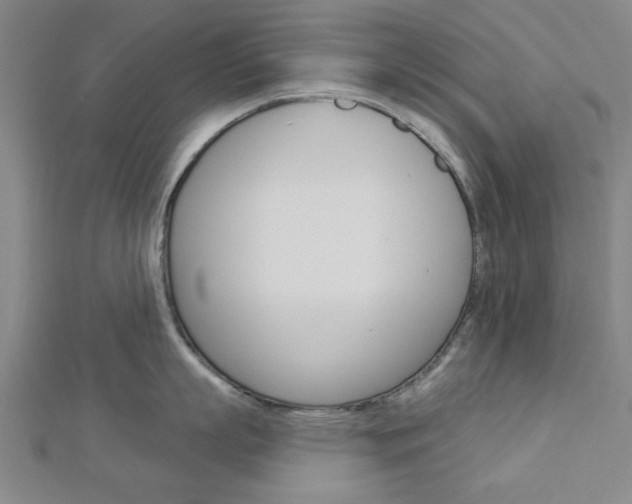X0000112980863200908270917
