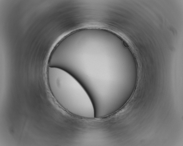 X0000112980864200908270917