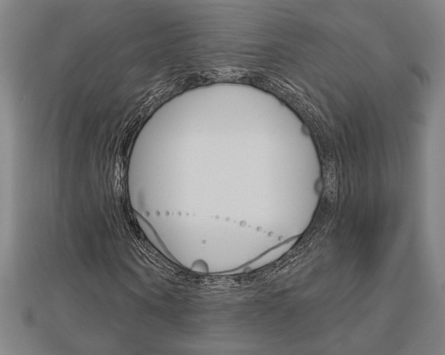 X0000112980866200908270916