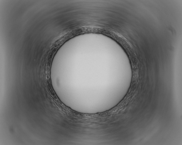 X0000112980870200908270916