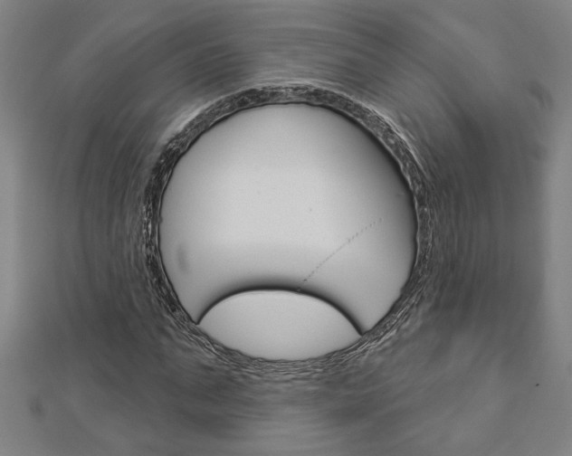 X0000112980871200908270916