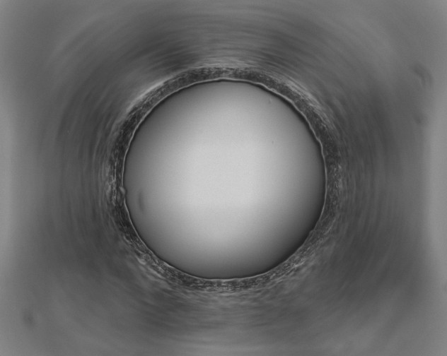 X0000112980872200908270916