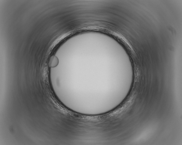 X0000112980874200908270916