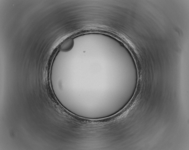 X0000112980877200908270916