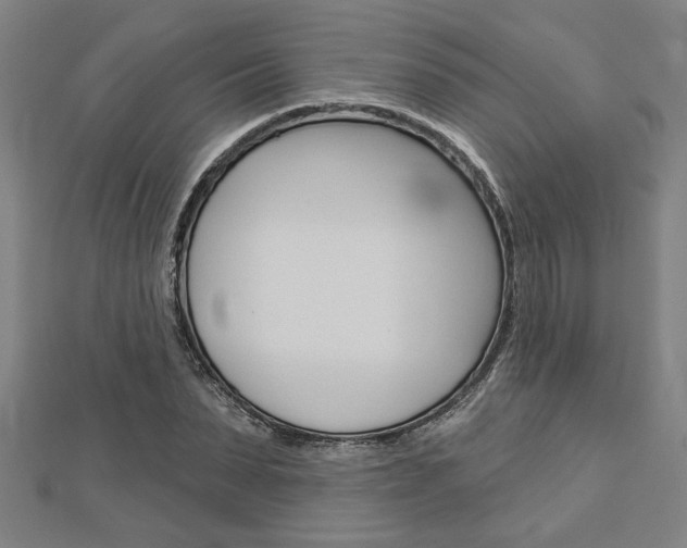 X0000112980879200908270916