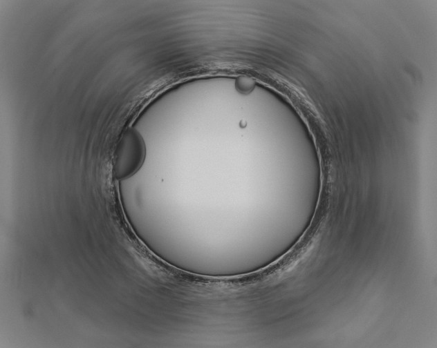 X0000112980881200908270916