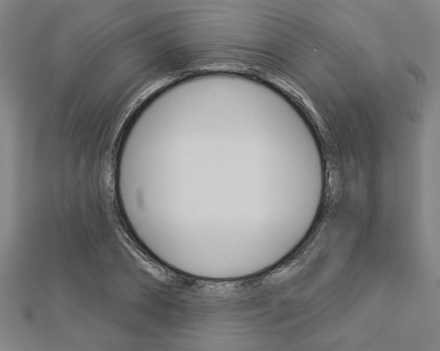X0000112980882200908270916