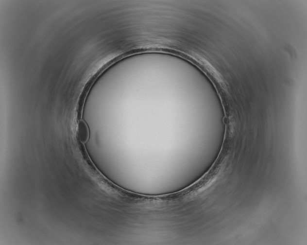 X0000112980885200908270916
