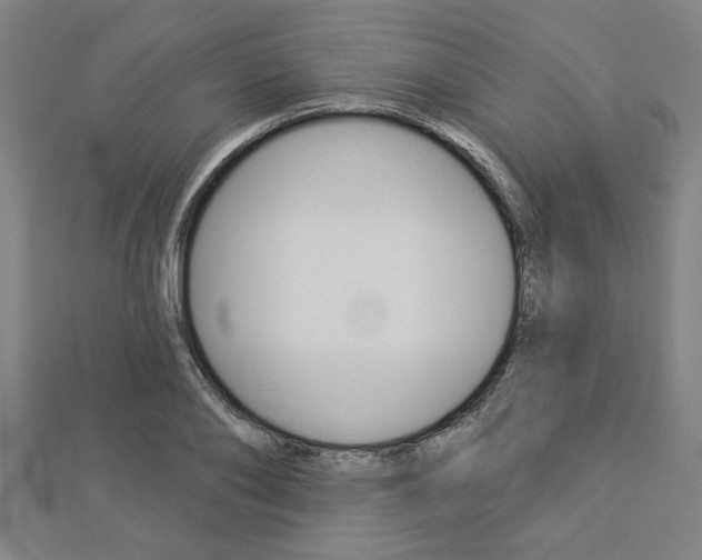 X0000112980886200908270916