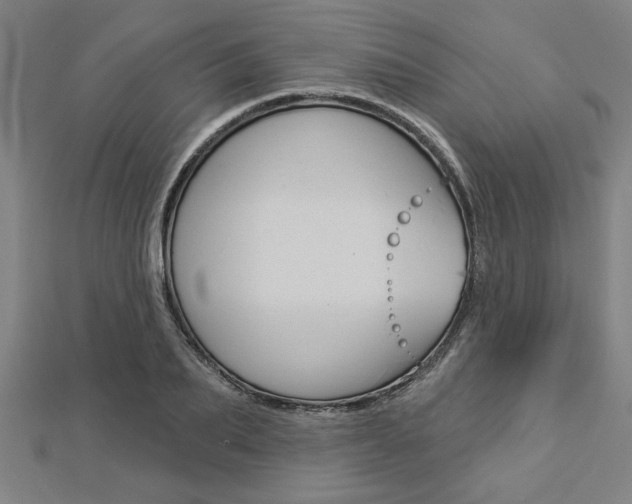 X0000112980887200908270916