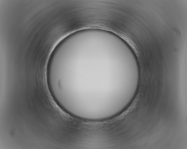 X0000112980888200908270916