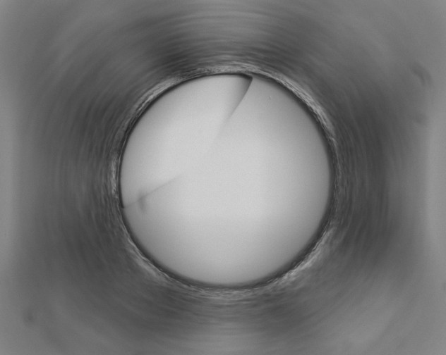X0000112980889200908270916