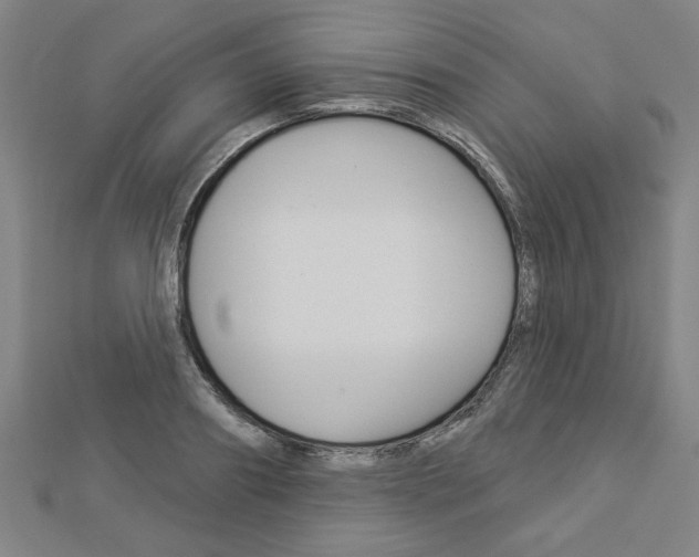 X0000112980890200908270916
