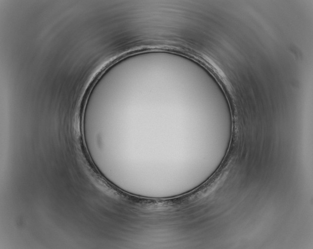 X0000112980891200908270916