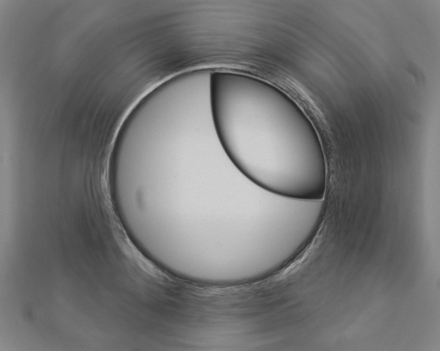 X0000112980892200908270916