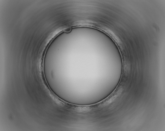 X0000112980893200908270916