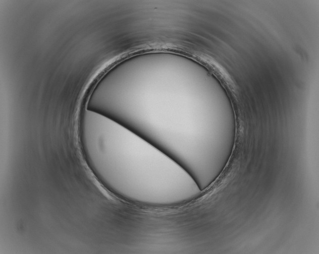 X0000112980894200908270916