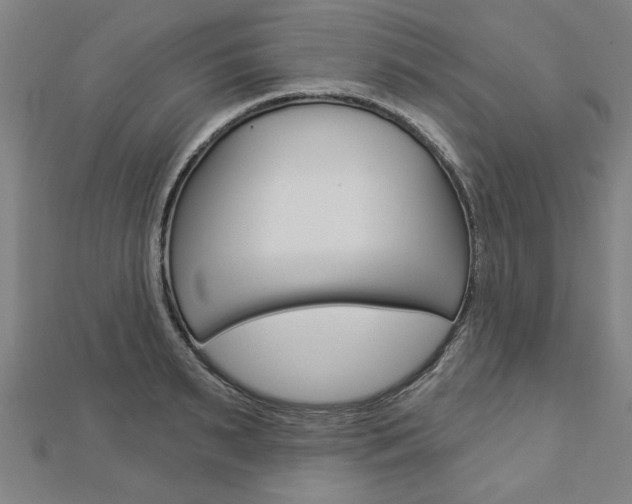 X0000112980895200908270916