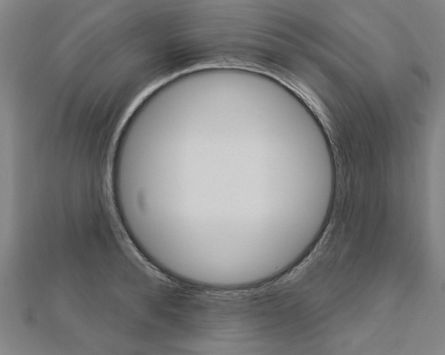 X0000112980896200908270916