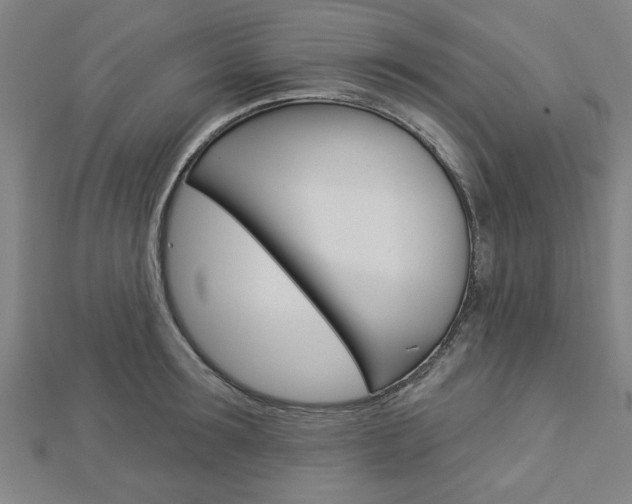 X0000112980899200908270916