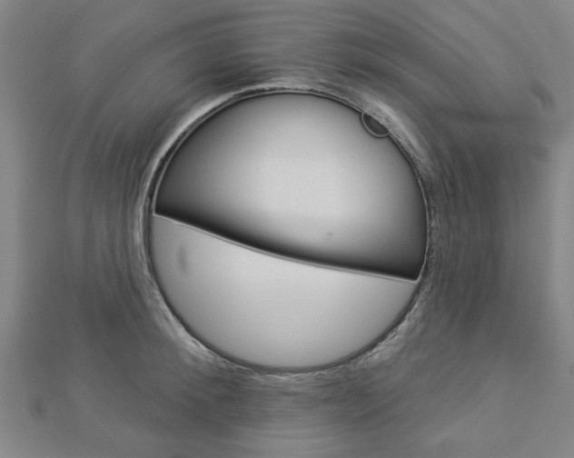 X0000112980900200908270916