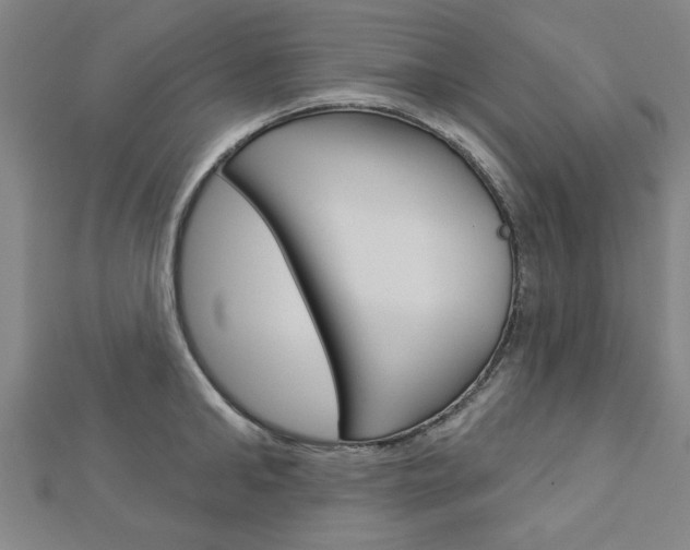 X0000112980902200908270916