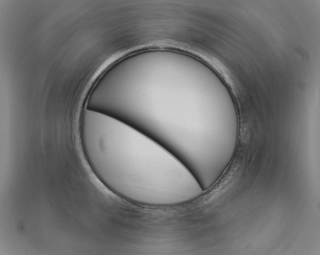 X0000112980903200908270916