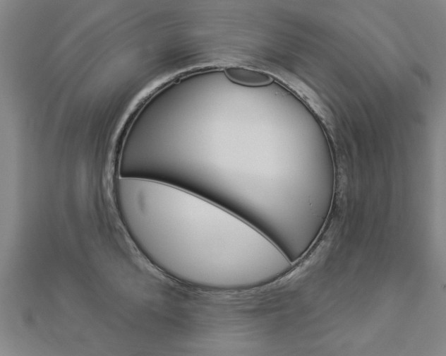 X0000112980904200908270916