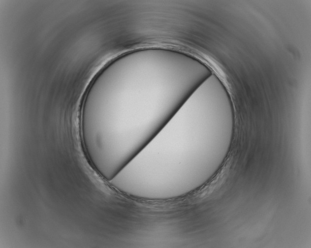 X0000112980907200908270916