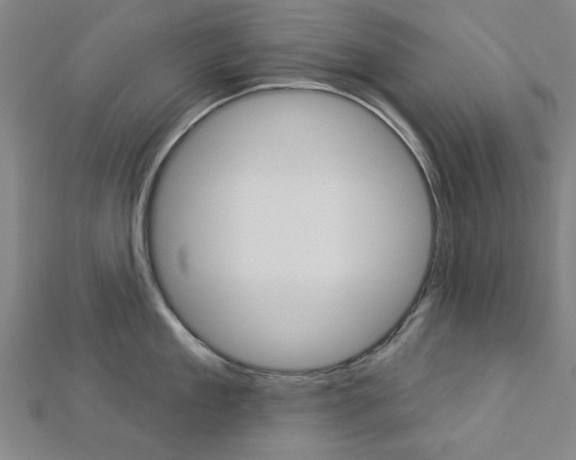 X0000112980909200908270916