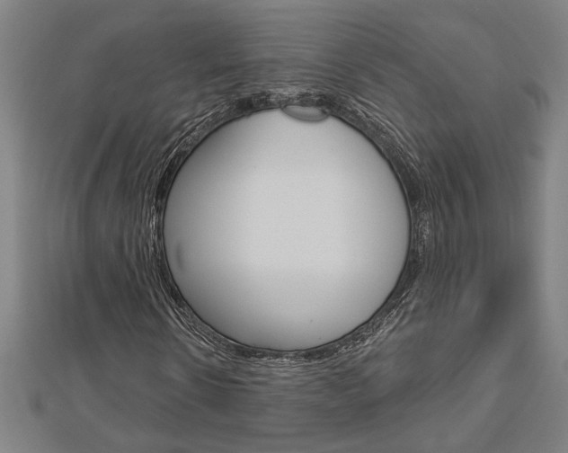 X0000112980914200908270915