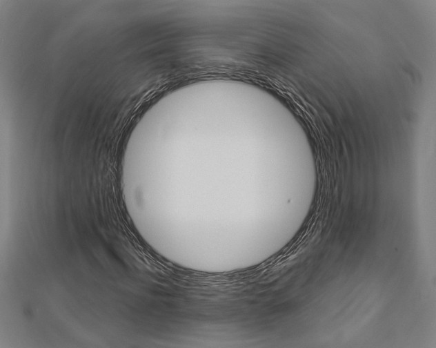 X0000112980916200908270915