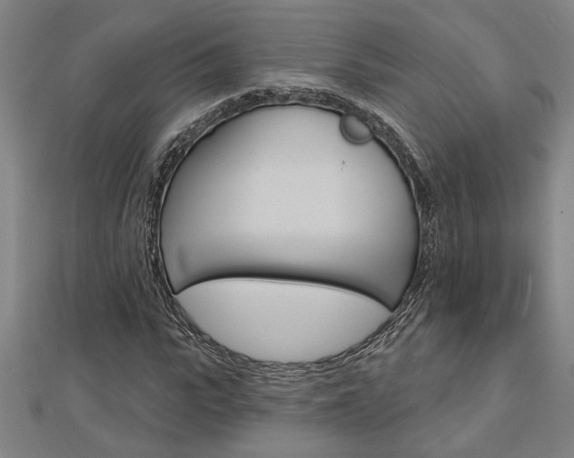 X0000112980919200908270915
